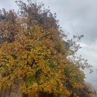 انجیره-اجاره-سوله-200متری