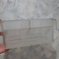 زایشگاه ماهی