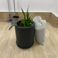 کمدفلزی ودوربین مداربسته وگلدان ولوستروبخارشوی|حراج|کیش, |دیوار