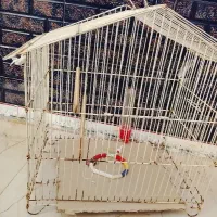 قفس پرنده
