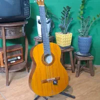 گیتار پارسی M5