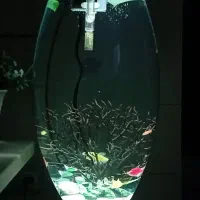 اکواریوم خوشگل