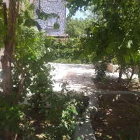 فروش خانه باغ دربهترین منطقه ازشهرستان هشترود|فروش خانه و ویلا|هشترود, |دیوار