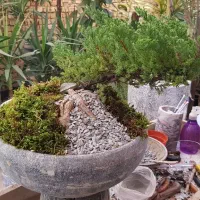 ویژه روز مادر