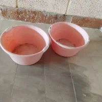 سبدولگن|ظروف نگهدارنده، پلاستیکی، یکبارمصرف|زاهدان, |دیوار