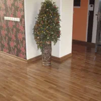 خدمات چوب ساختمان صفر تا صد مشاوره رایگان|مصالح و تجهیزات ساختمان|تهران, شیراز|دیوار