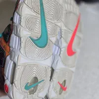 کتانی اورجینال|کیف، کفش، کمربند|تهران, بنیهاشم|دیوار