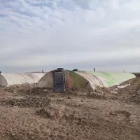 سازه گلخانه|مصالح و تجهیزات ساختمان|تربتحیدریه, شهرک ولیعصر|دیوار