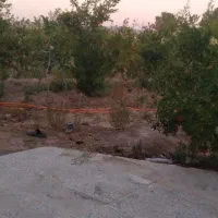 باغ ویلا|فروش خانه و ویلا|تربت‌حیدریه, پائین ولایت|دیوار