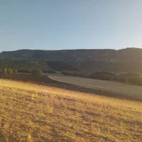 راهنمایی صاحب زمین