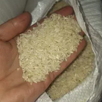 برنج چمپا لری درجه یک