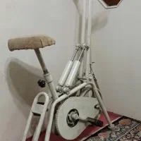 دوچرخه ثابت