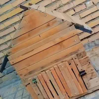 خانه سگ و گربه و خرگوش