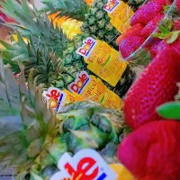 نیروی آقا برای جابجایی و چیدمان بار