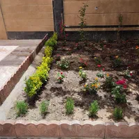 انجام خدمات باغبانی باغچه کاری گلکاری|خدمات باغبانی و درختکاری|تهران, درکه|دیوار