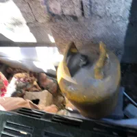 بخاری و کپسول|بخاری، هیتر، شومینه|لولمان, |دیوار