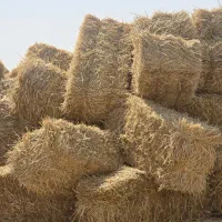 پرس سفال گندم