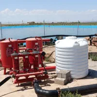 باغ بادام ۵ ساله|فروش دفتر صنعتی، کشاورزی، تجاری|بوئین زهرا, |دیوار