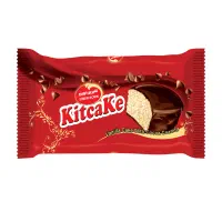 استخدام ویزیتور