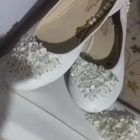 کیف و کفش مجلسی ست