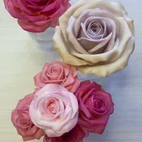 گیفت|صنایع دستی و سایر لوازم تزئینی|کرج, فاز ۱ مهرشهر|دیوار