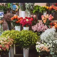 همکار نیروی جوان اقا در گلفروشی