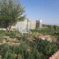 نظرآباد ۱۳۰۰متر با ۷ ساعت آب فروشنده واقعی و تهاتر|فروش زمین و ملک کلنگی|نظرآباد, نجم آباد|دیوار