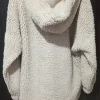 هودی تدی سالم