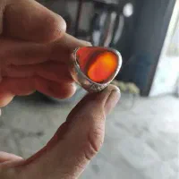 سرخ نخبه و اعلا|جواهرات|بندرعباس, |دیوار