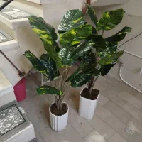 استند ها سه طبقه|مجسمه، تندیس، ماکت|دورود, |دیوار