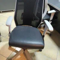 فرصت طلائی صندلی کارشناسی