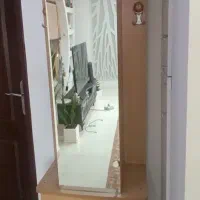 جاکفشی آیینه دار