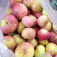 انجیر فقطه80تومن