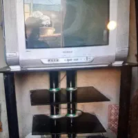 تلویزیون