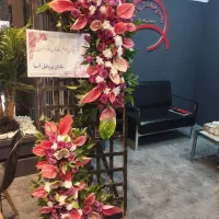 کد850 افتتاحیه نمایشگاه تاجگل دسته(مناسبترین قیمت)|گل و گیاه طبیعی|تهران, پونک|دیوار