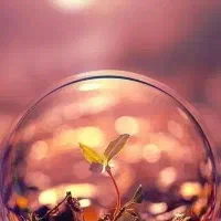 یه لنگه گوشواره گم شده