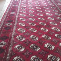 قالی نو ۹ متری|فرش|گنبد کاووس, |دیوار