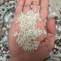 فروش برنج|خوردنی و آشامیدنی|ساری, |دیوار