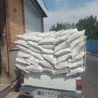 فروش تک و عمده ارزن و کتان و انواع دان