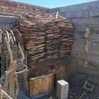 کندو خالی با رامکا