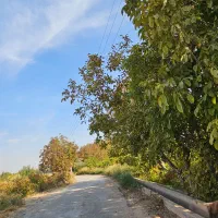 باغچه زمین باغ سنددار *برق /آب|فروش زمین و ملک کلنگی|رباطکریم, پیغمبر|دیوار