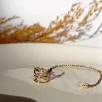 گوشواره ی نگهدارنده ی ایرپاد رنگ ثابت|بدلیجات|برخوار, |دیوار