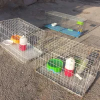 قفس پرنده بزرگ آهنی محکم