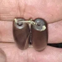 سنگ قدیمی|جواهرات|خرمشهر, |دیوار