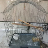 قفس پرنده