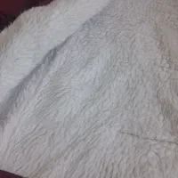 کاپشن و بارونی|لباس|کرمان, |دیوار