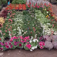 راهنمایی برای کار