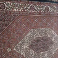 دو عدد فرش شش متری|فرش|زنجان, |دیوار