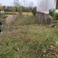 ۱۵۷ متر بر اتوبان لیسار|فروش زمین و ملک کلنگی|لیسار, |دیوار