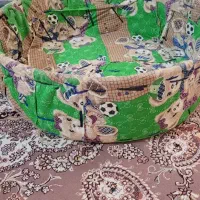 جا نونی حصیری